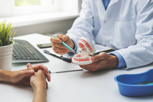 Best General Dentistry  in Hill N Dale, FL